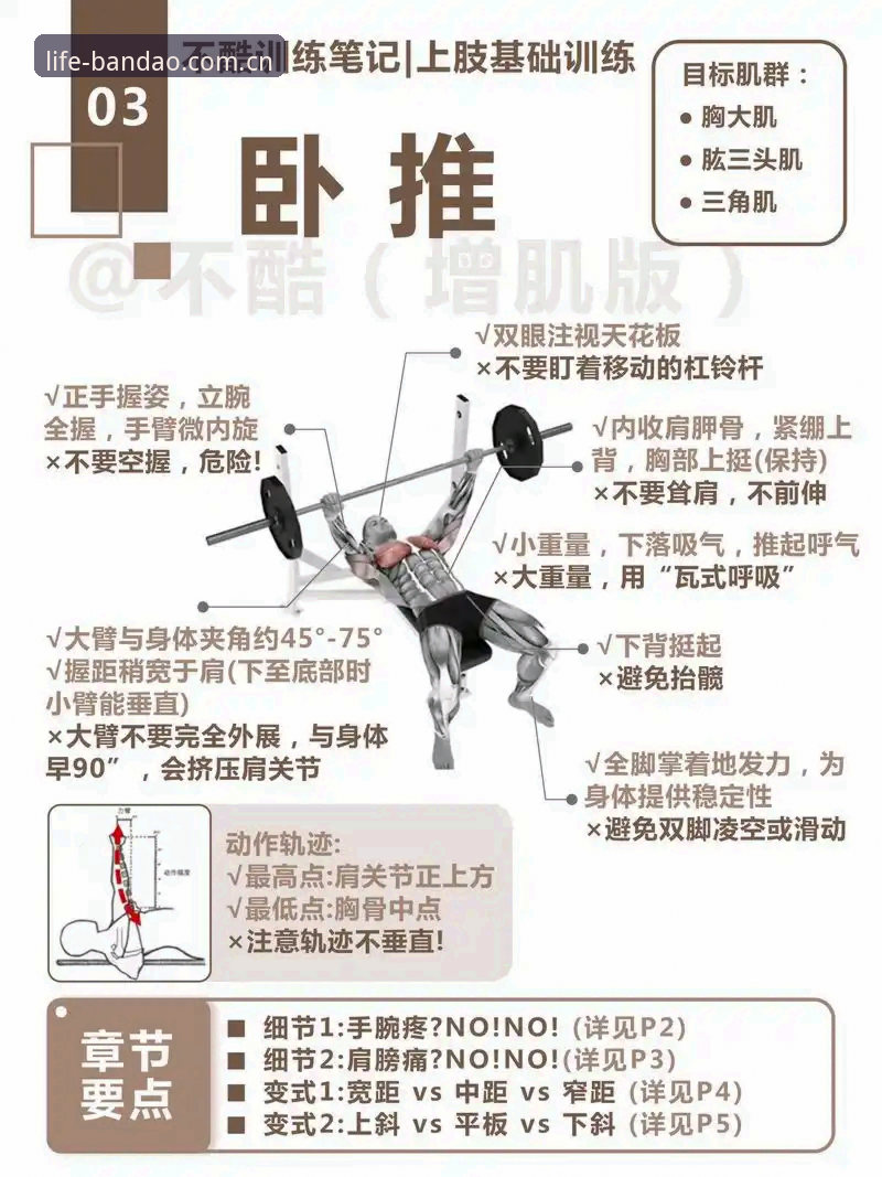 半岛体育最新资讯功能详解 半岛体育最新资讯功能实用指南:深度解析你的专属运动生活改善工具