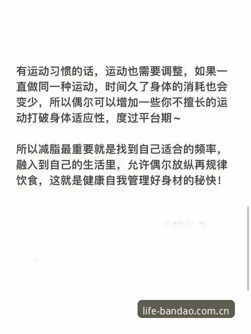半岛体育官网深度解析：v3.0.2版本如何重塑中国体育资讯与运动生活体验